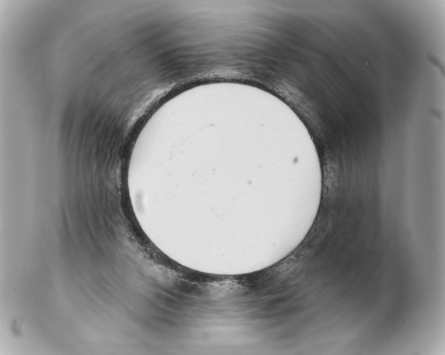 X0000102400112200808291454
