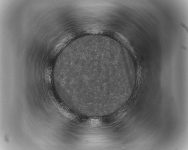 X0000102400114200808291454