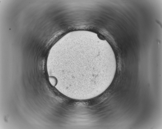 X0000102400115200808291454