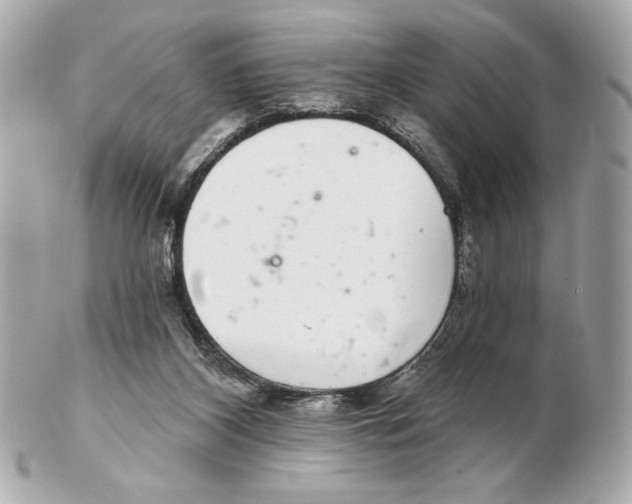 X0000102400116200808291454