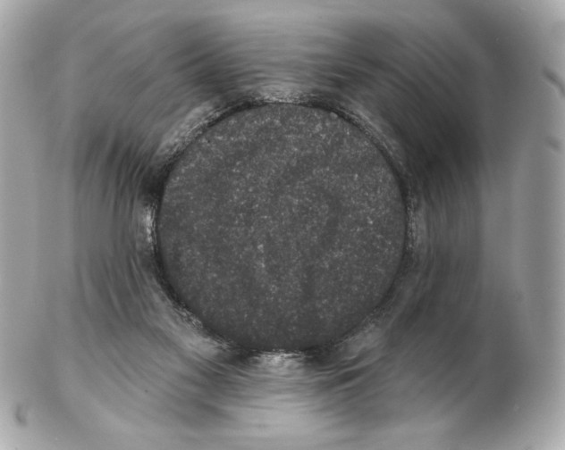 X0000102400117200808291454