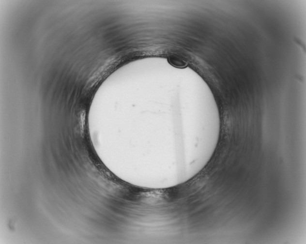 X0000102400118200808291454