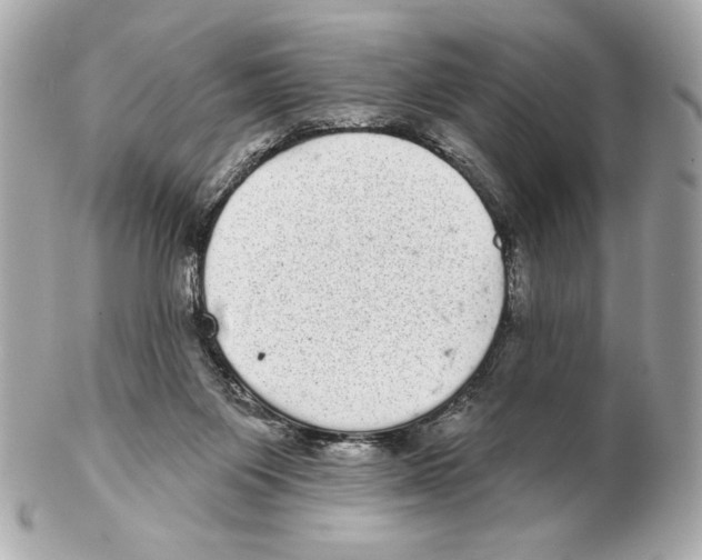 X0000102400119200808291454