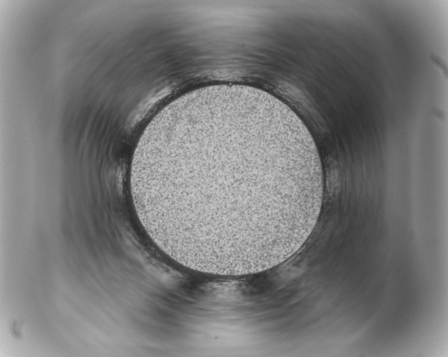 X0000102400120200808291454