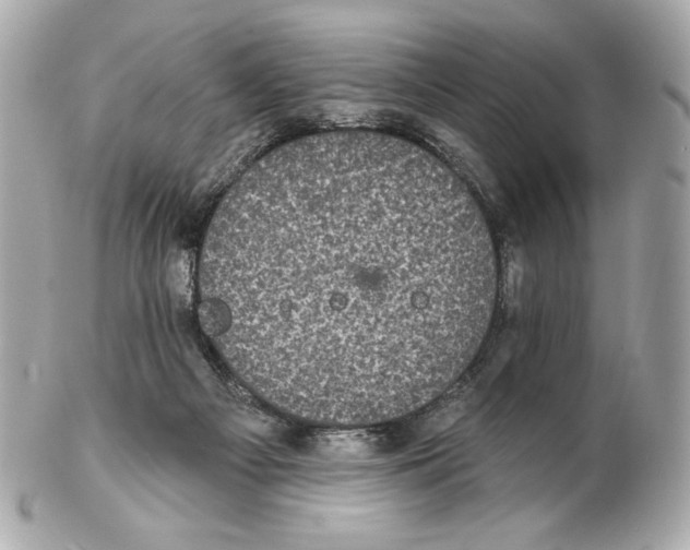X0000102400121200808291454
