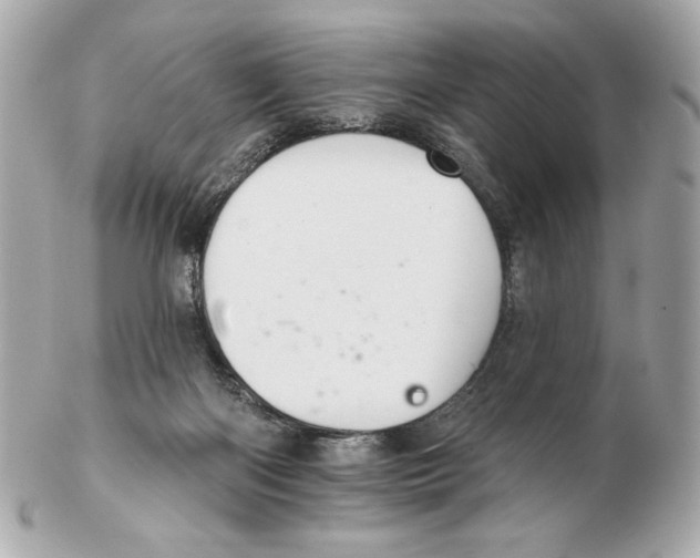 X0000102400122200808291454