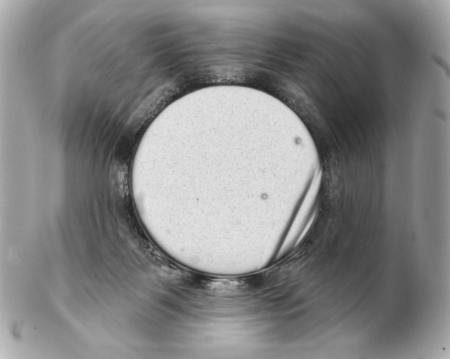 X0000102400123200808291454