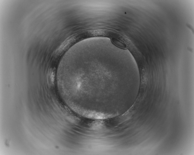 X0000102400124200808291454