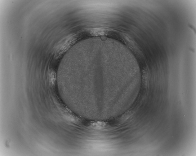 X0000102400125200808291454