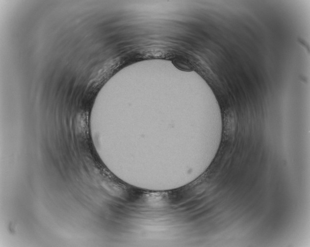 X0000102400126200808291454