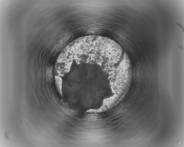 X0000102400127200808291454