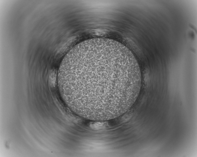 X0000102400129200808291454
