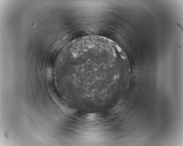 X0000102400130200808291454