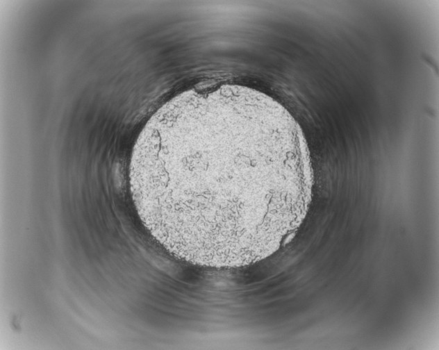 X0000102400131200808291454