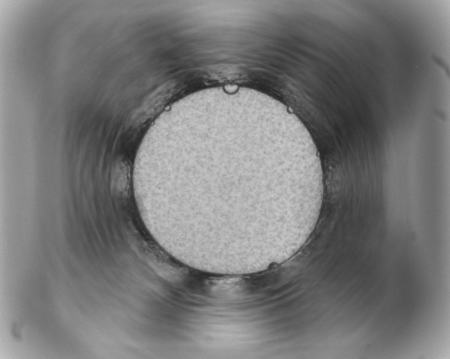 X0000102400132200808291454