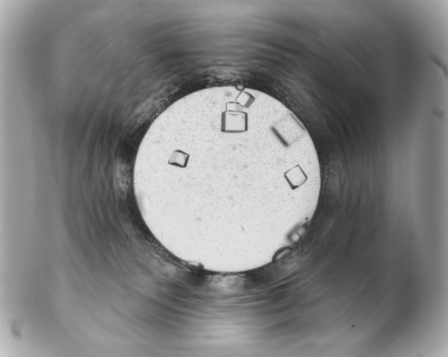 X0000102400135200808291454