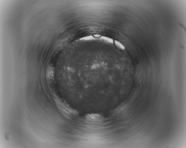 X0000102400137200808291454