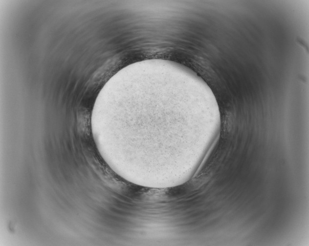 X0000102400138200808291454