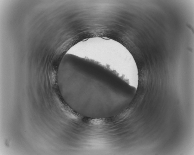 X0000102400139200808291454