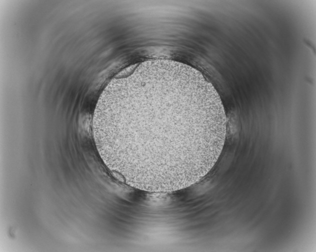 X0000102400141200808291453