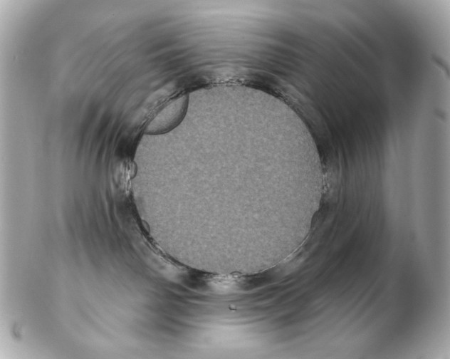 X0000102400142200808291453
