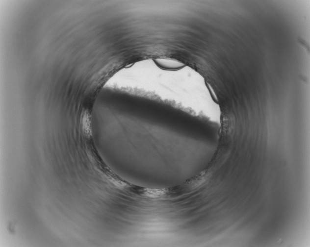 X0000102400143200808291453