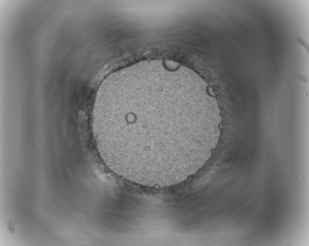 X0000102400144200808291453