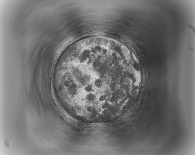 X0000102400145200808291453