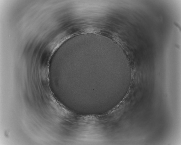 X0000102400146200808291453
