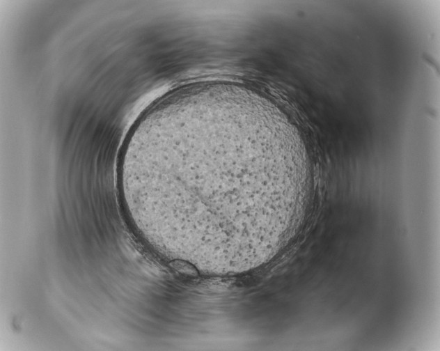 X0000102400148200808291453