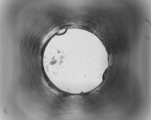 X0000102400150200808291453