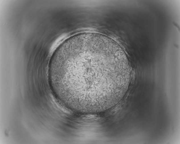 X0000102400151200808291453