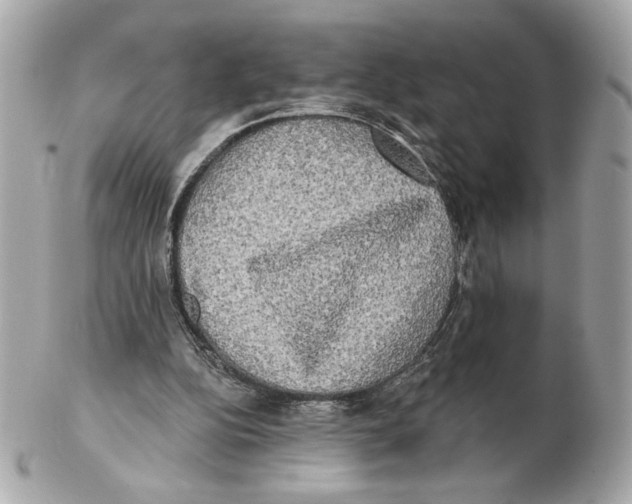 X0000102400152200808291453