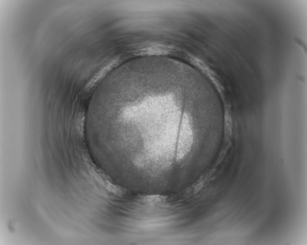 X0000102400153200808291453