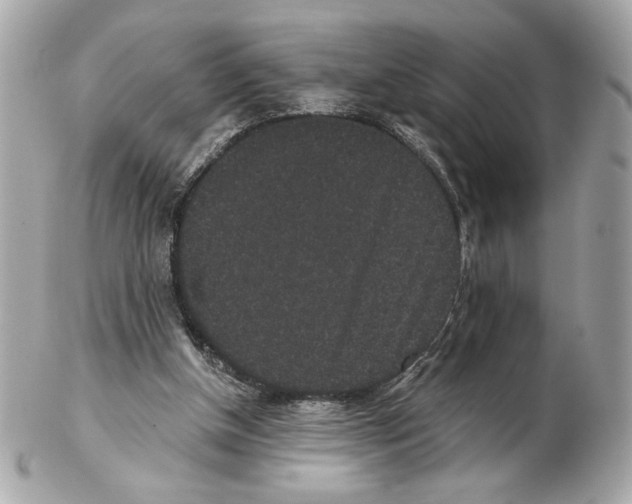 X0000102400154200808291453