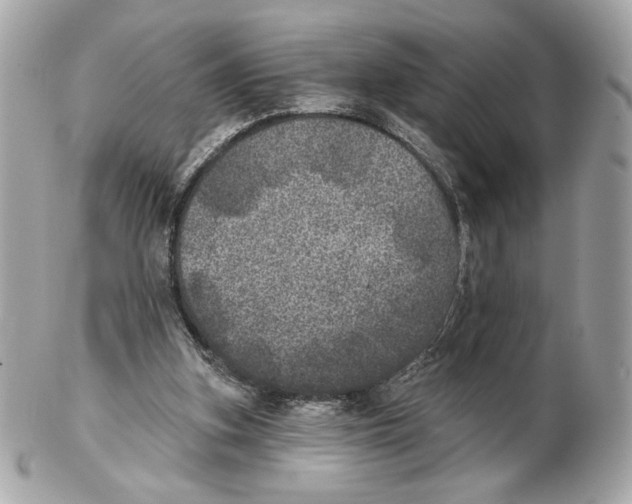 X0000102400155200808291453