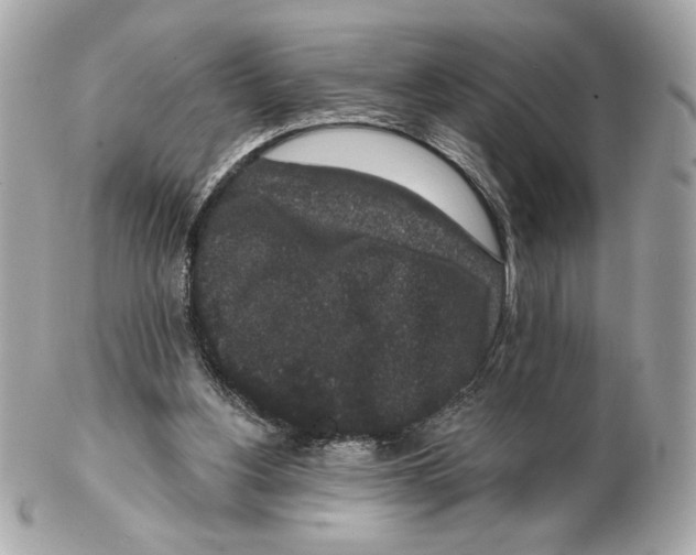 X0000102400156200808291453