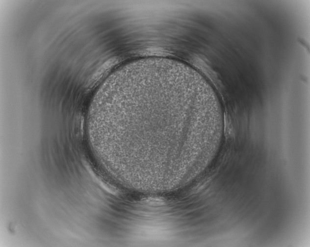 X0000102400157200808291453