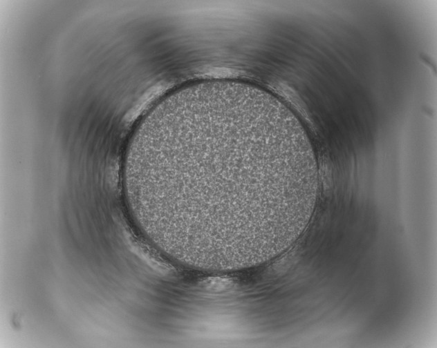 X0000102400159200808291453