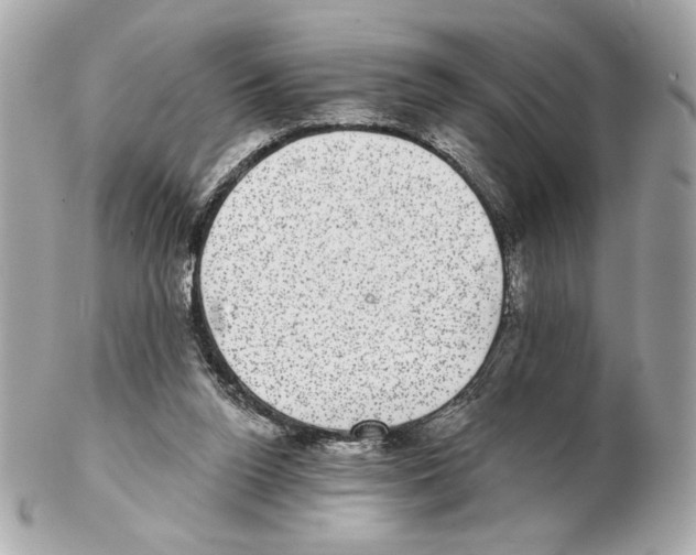 X0000102400160200808291453