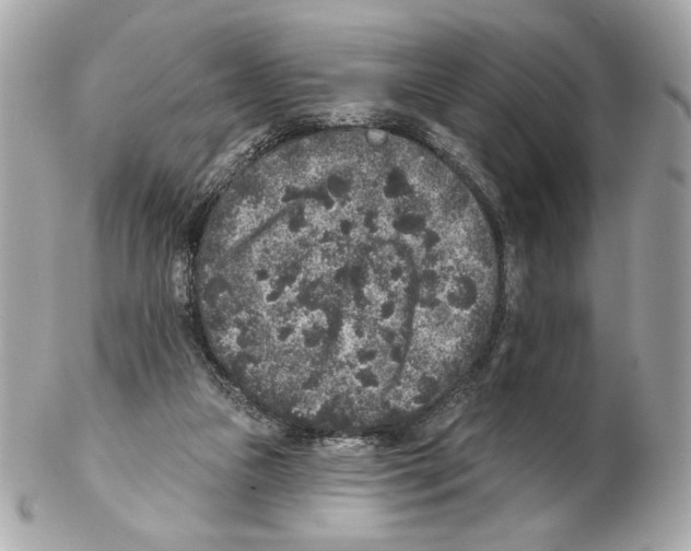 X0000102400161200808291453