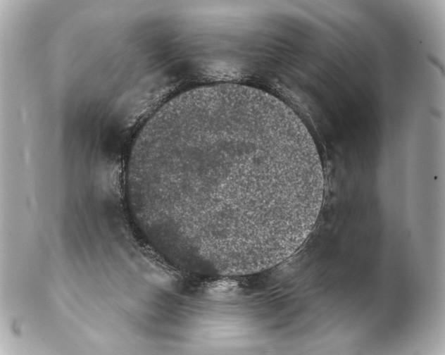 X0000102400162200808291453