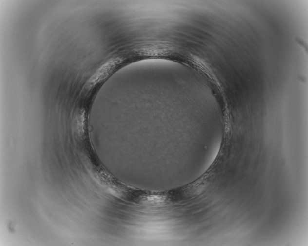 X0000102400163200808291453