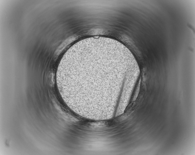 X0000102400164200808291453