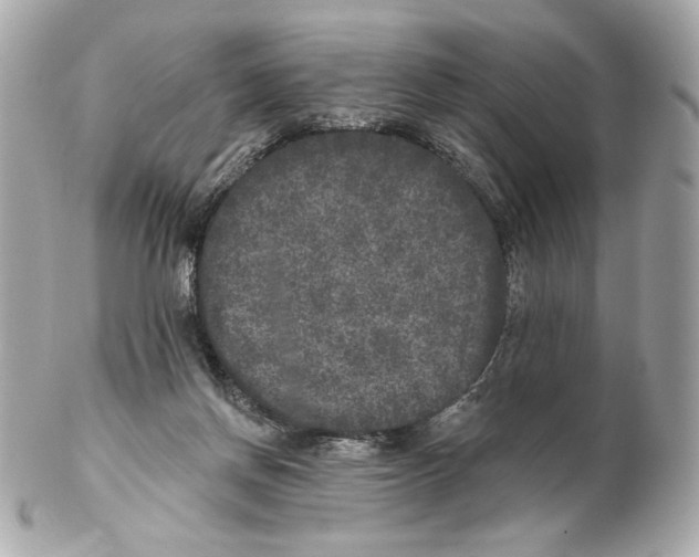 X0000102400166200808291453