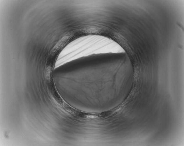 X0000102400167200808291453