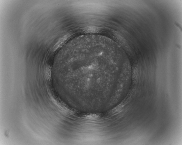 X0000102400168200808291453