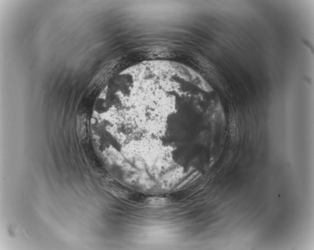 X0000102400169200808291453