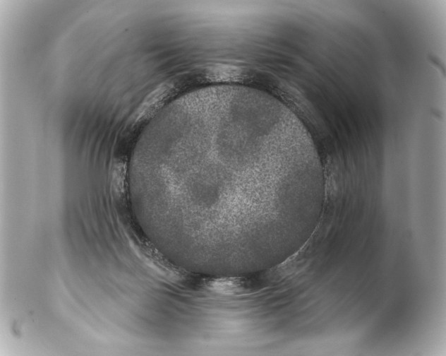 X0000102400171200808291453