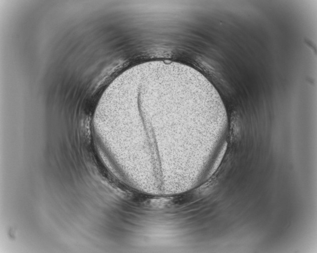 X0000102400172200808291453